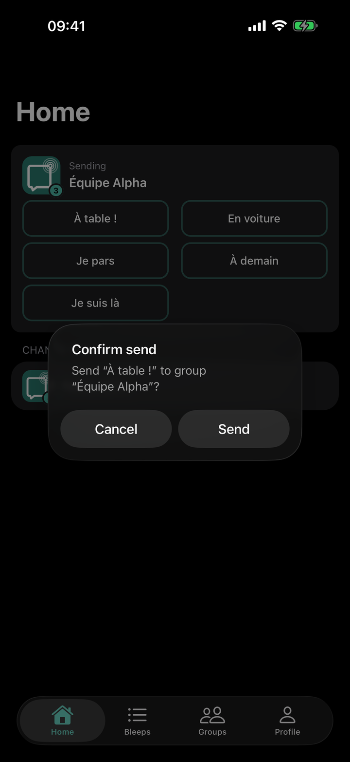 Confirm send sheet